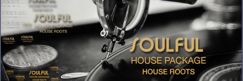 Fistoz Soulful House Package's banner