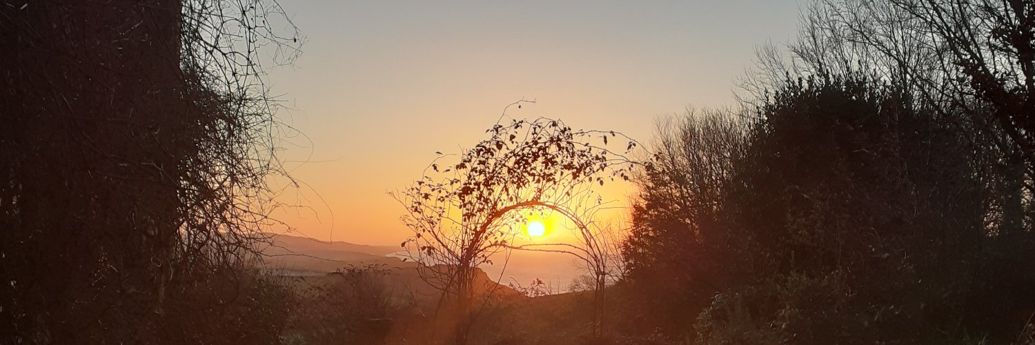 pollycard's profile banner image