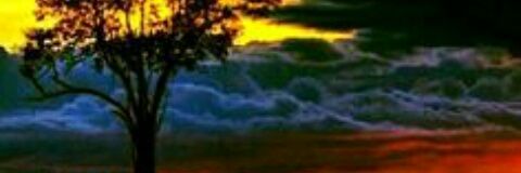 avmcb13's profile banner image