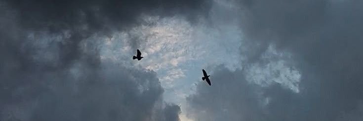 mznci's profile banner image
