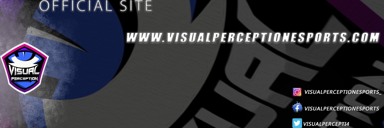 VisualPerceptionEsports banner