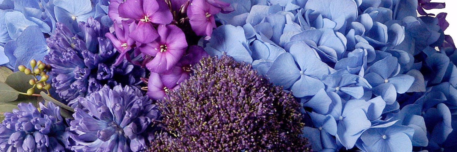 FloralTrainer's profile banner image
