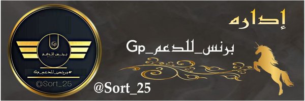 Sort_25 Profile Banner
