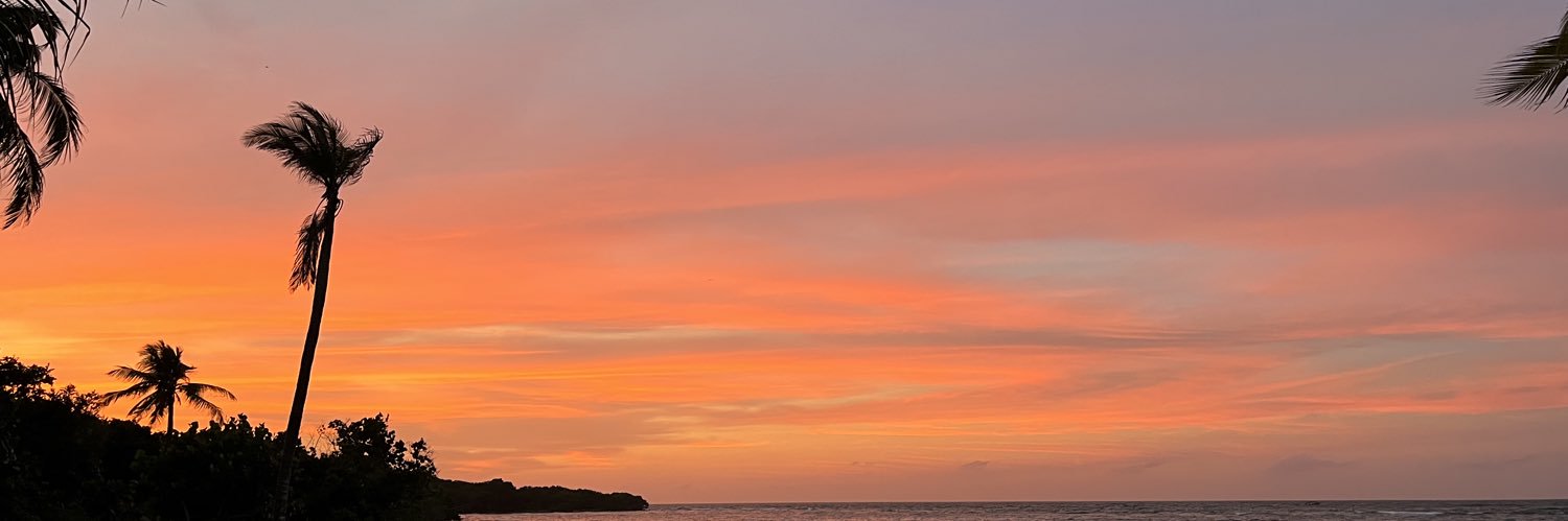 SilviaJup's profile banner image