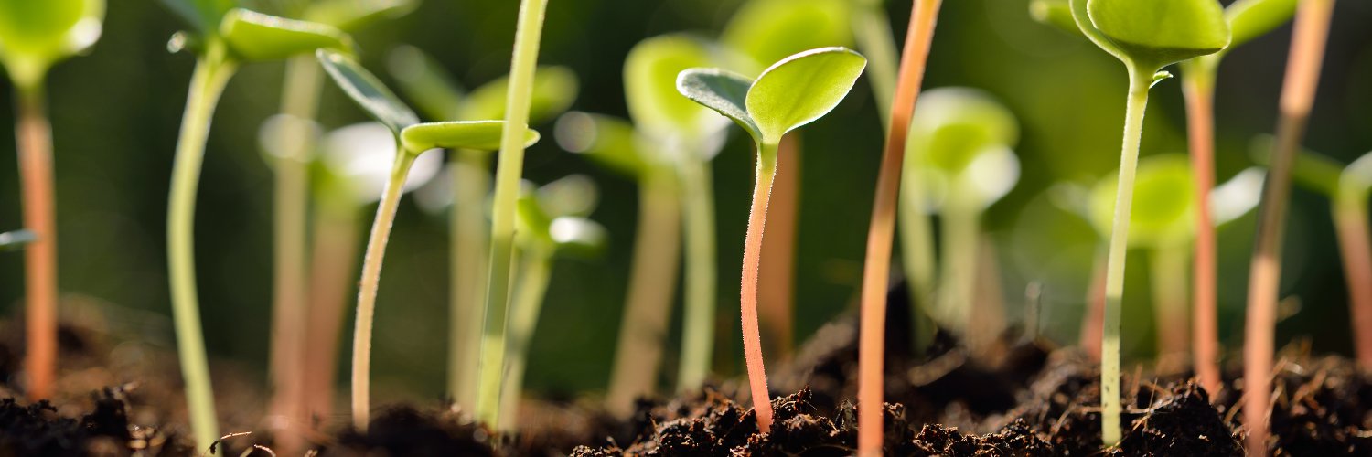 Uproot Project banner