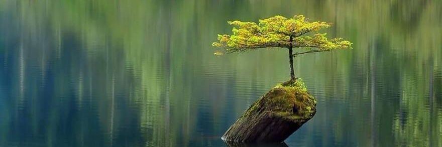 arturo rul palma banner