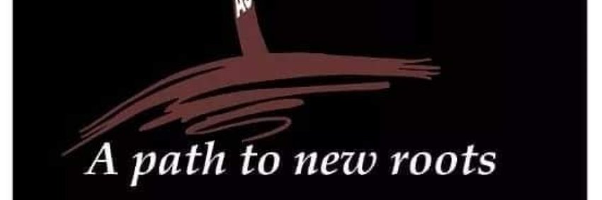 Aferican Journey's banner