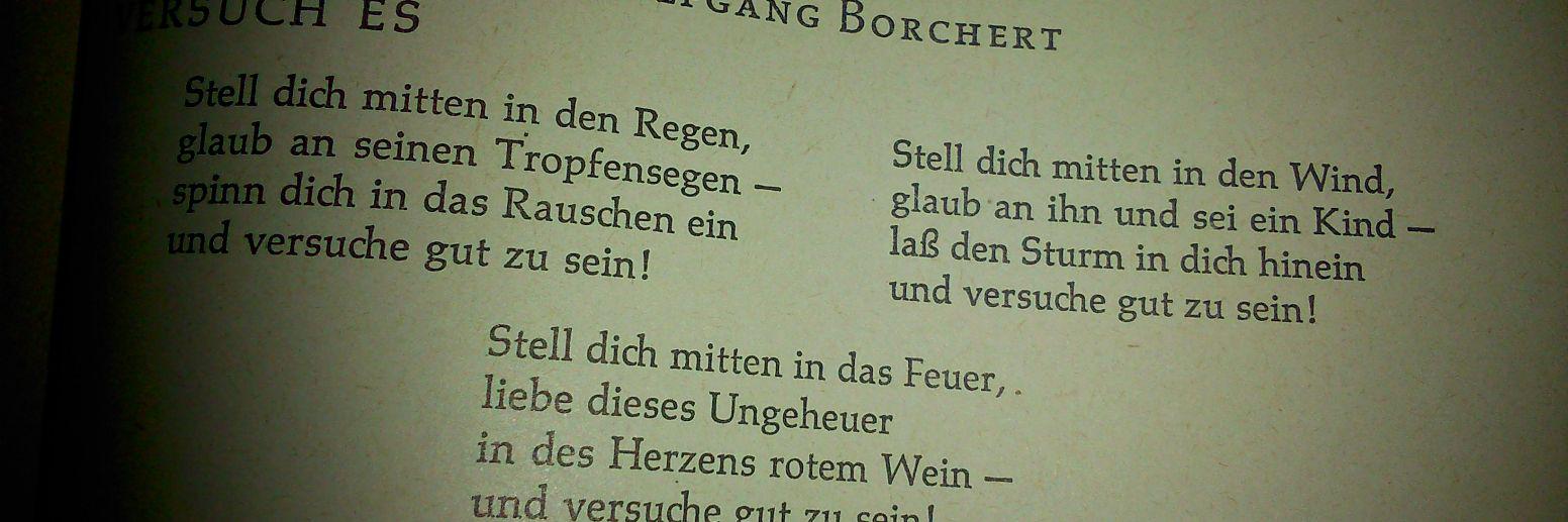 Krampfe-Manze banner