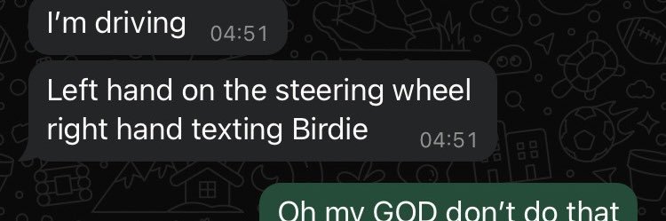 Birdie ^w^'s banner