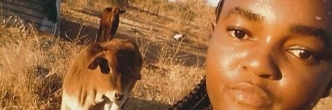 ChelsyZM's profile banner image