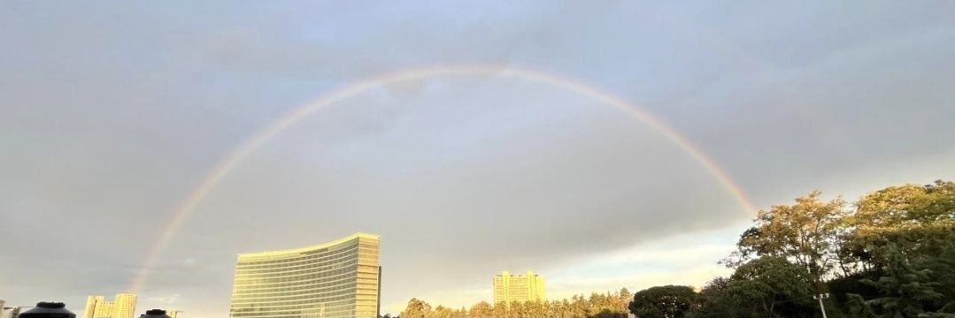 Mistontli_75's profile banner image