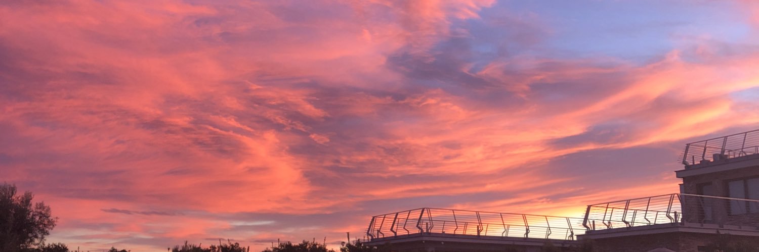 ladeloslibroos's profile banner image