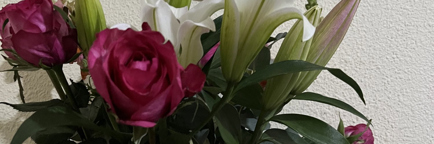 tend_annie's profile banner image