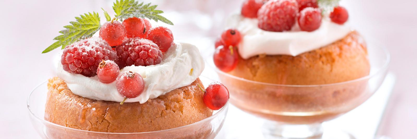 DJ David Greta Thunberg² banner