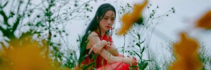 jslbpink's profile banner image