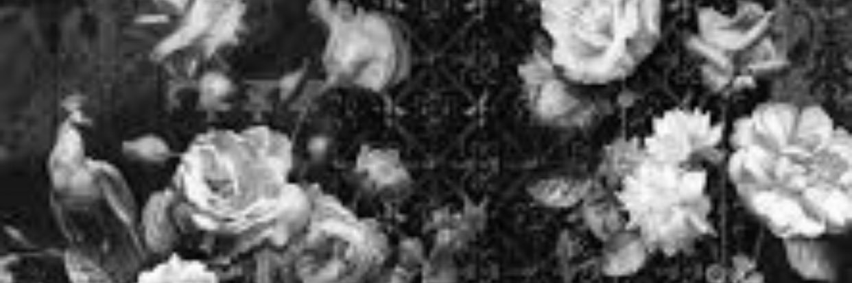 merveayrical's profile banner image