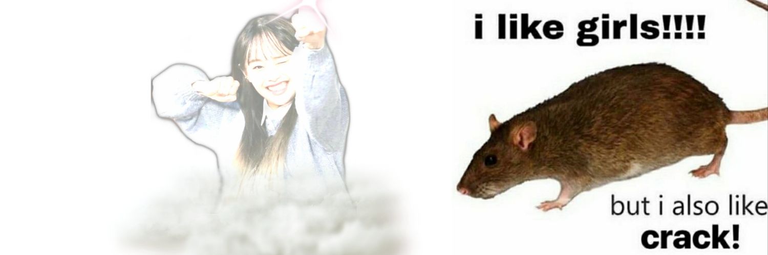 Dracosun banner