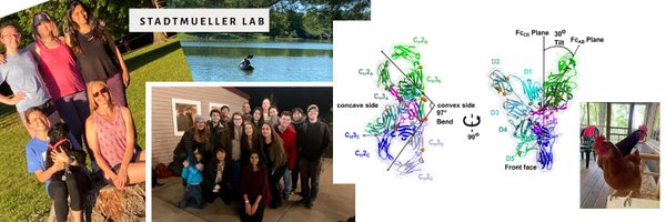 StadtmuellerLab Profile Banner