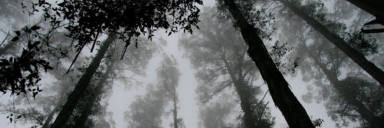 Not Deer Magazine banner