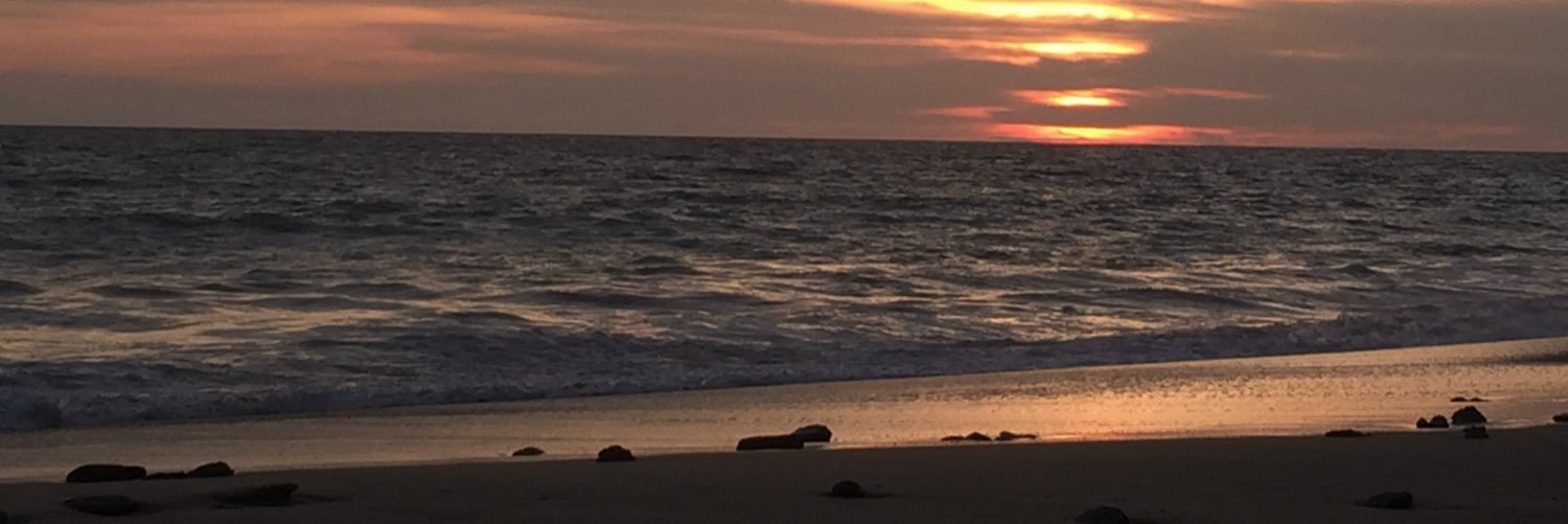 eldeividvm's profile banner image