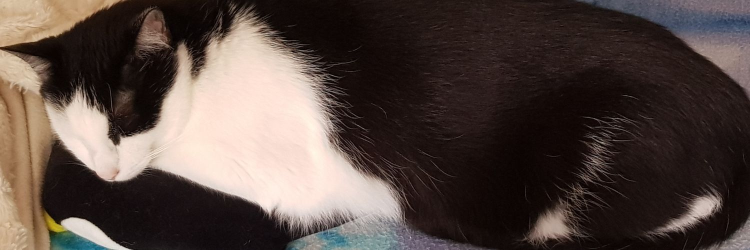maybejustme2's profile banner image