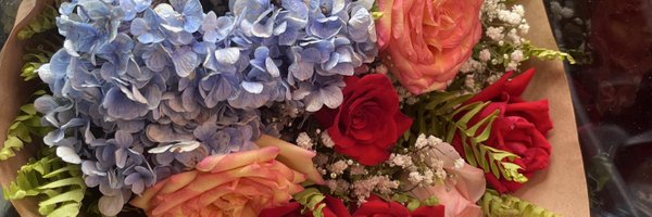 aannecom_e Profile Banner