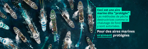 BLOOM Association banner