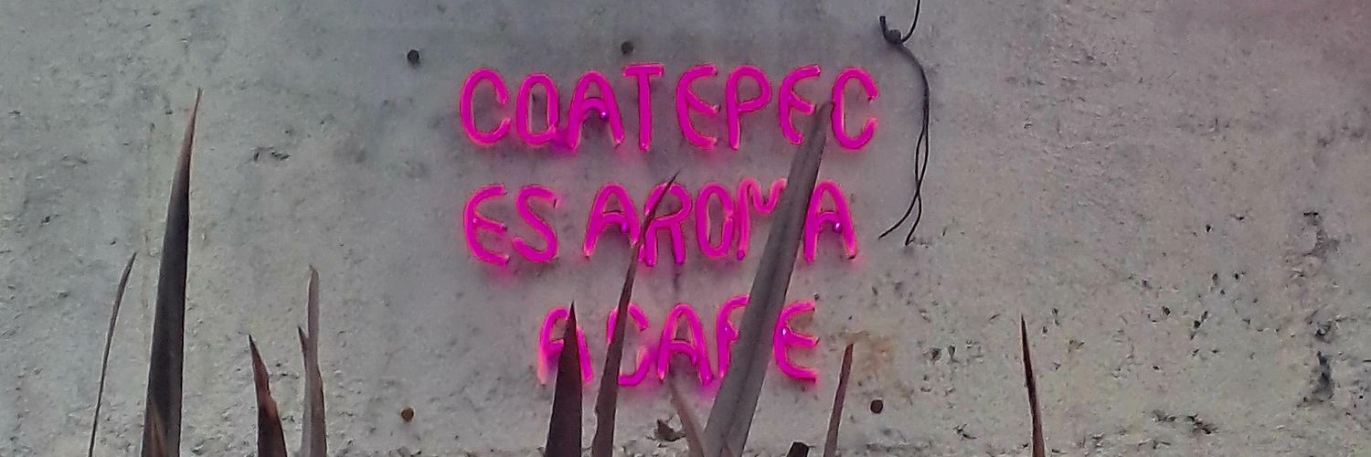 Beatriz Peredo's banner