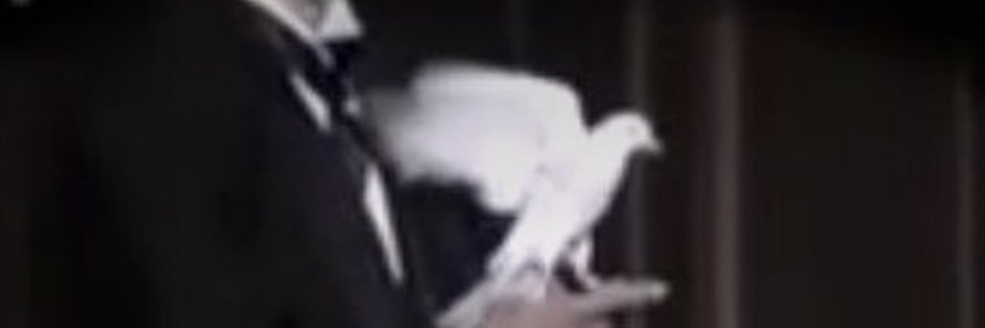 skig_g's profile banner image
