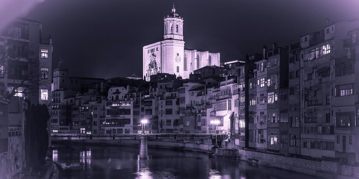 jgmoli's profile banner image