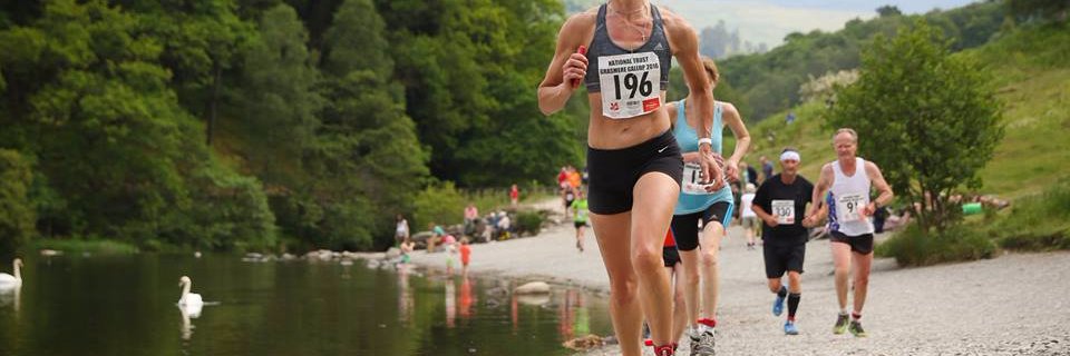 Ursula Brendling banner