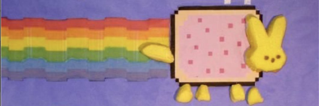 misacchi33's profile banner image