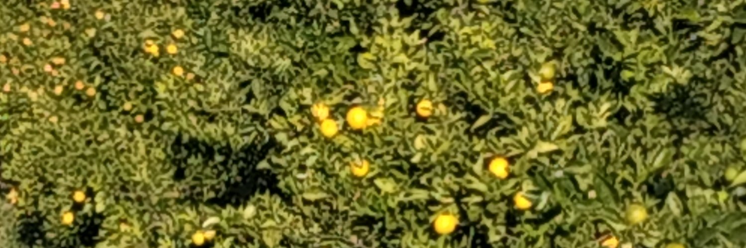 perellonguet's profile banner image