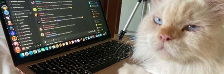 Sweetabix banner
