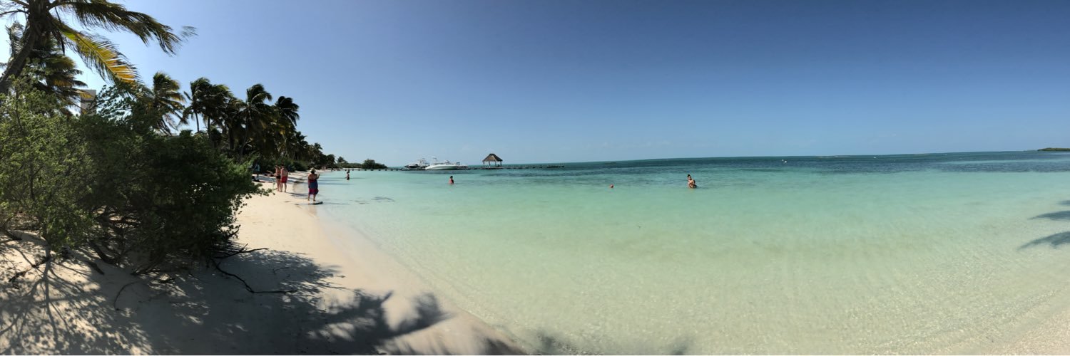 Céline Gajnik-Kinnoo banner