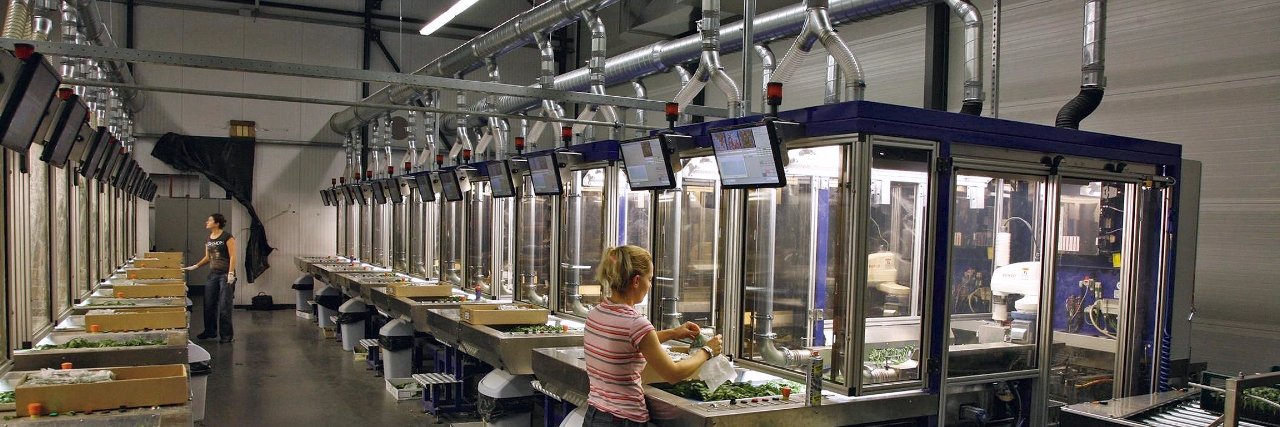 Jonathan Berte banner