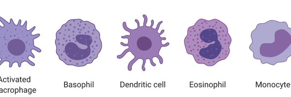 AllergyMuhc Profile Banner