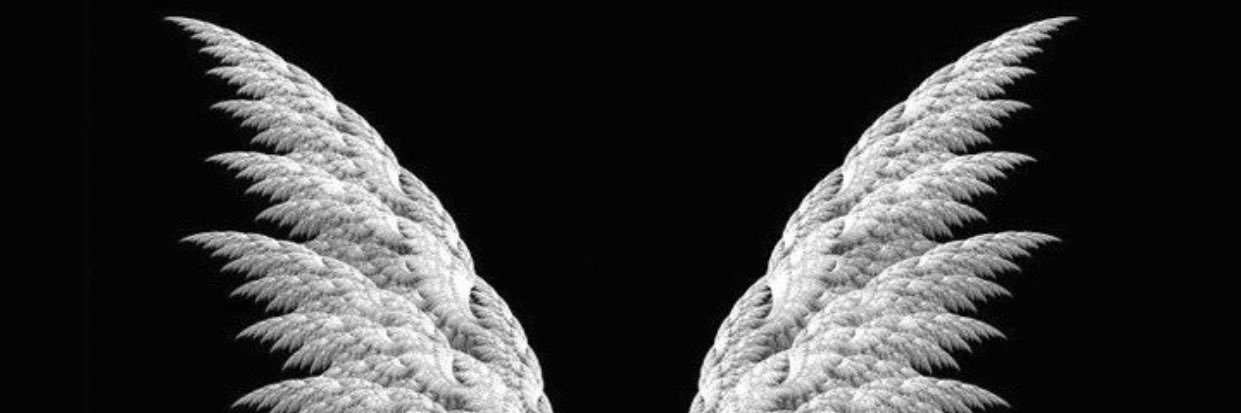 betuldass's profile banner image