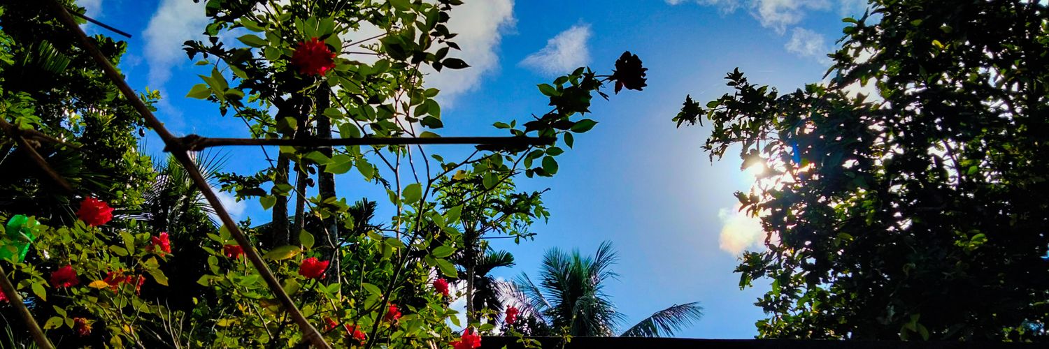 ଆକାଂକ୍ଷା 🌚 banner