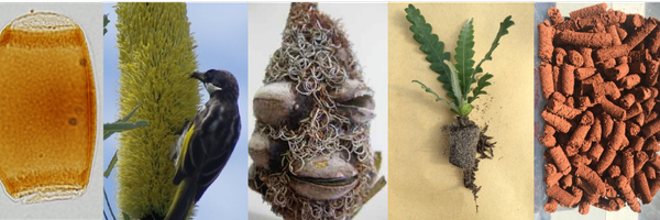 alisonlritchie Profile Banner