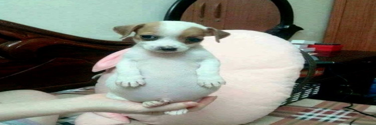 round ass dog banner