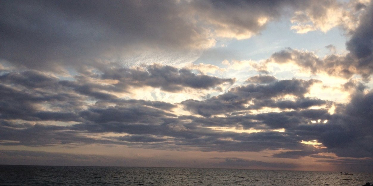 mzsg51's profile banner image