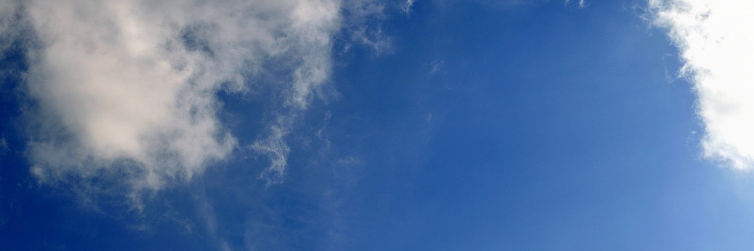 Bravobangs's profile banner image