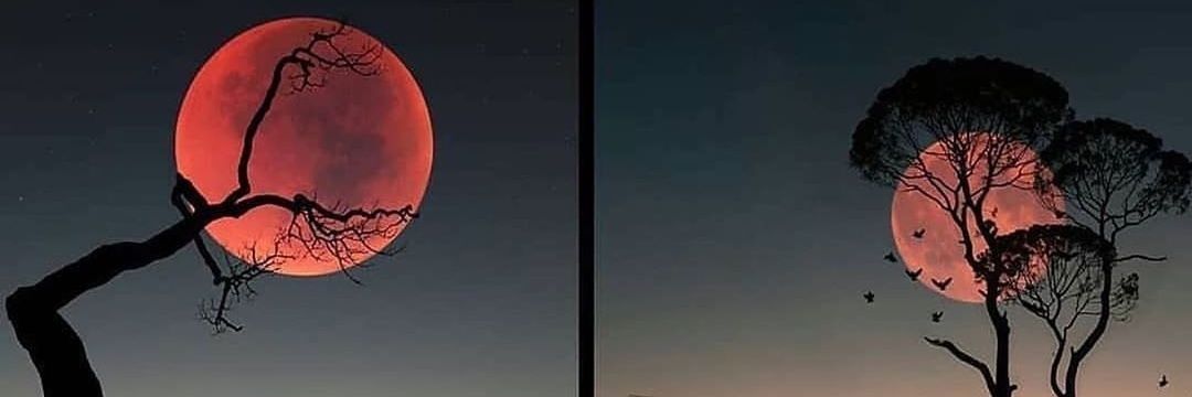 miriammab's profile banner image