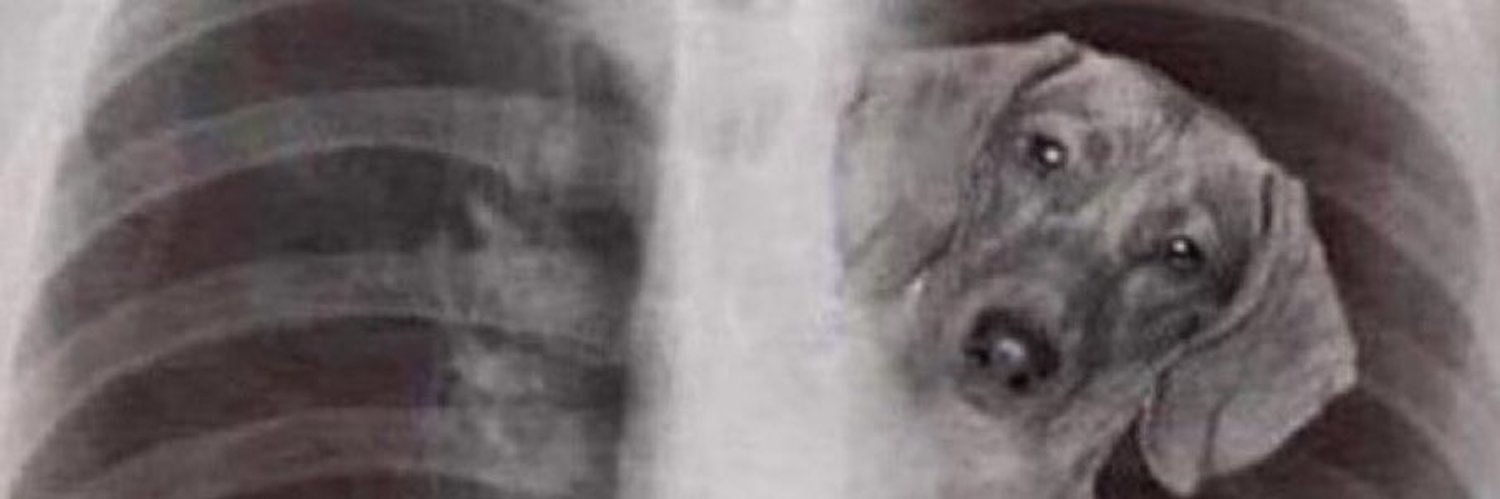 ShauryaMotwani's profile banner image