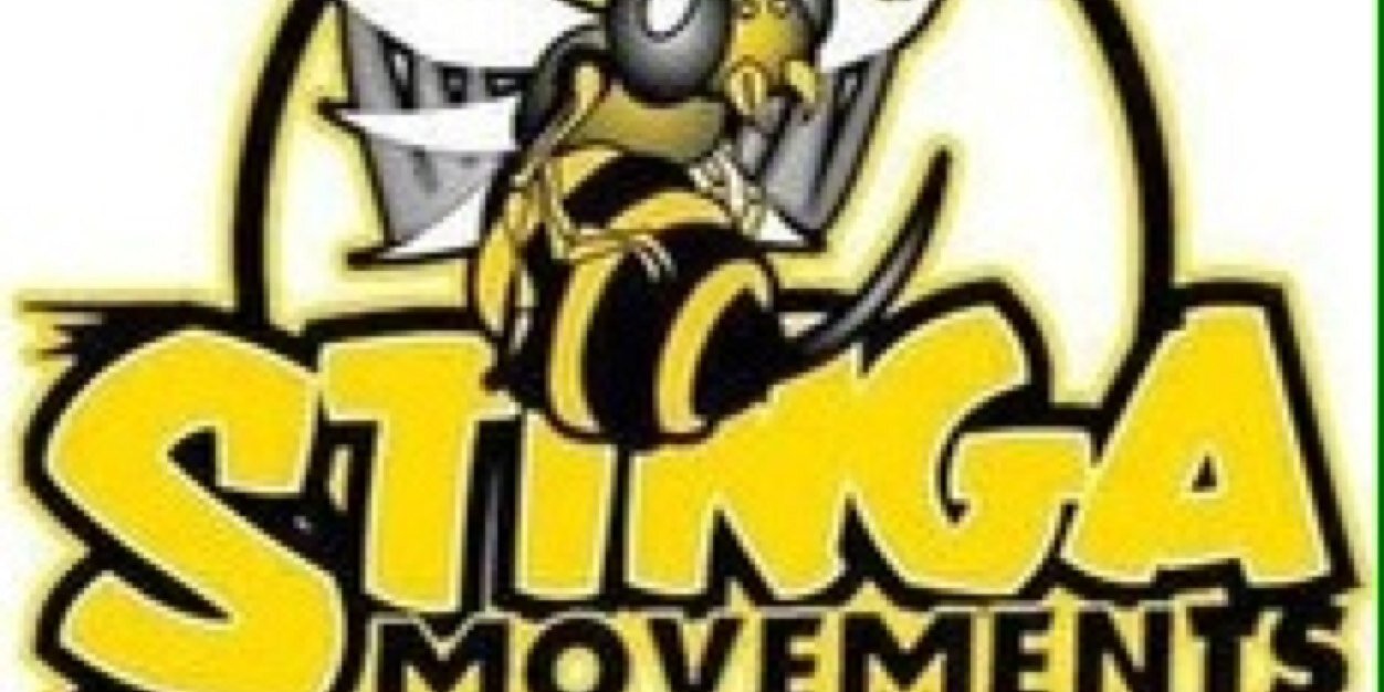 StingaMovements's profile banner image