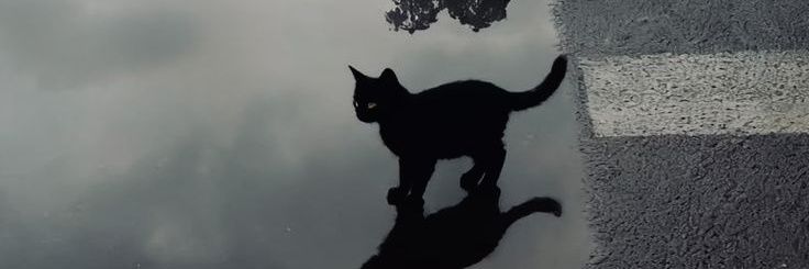 𝙋𝙤𝙠𝙚𝙧 𝙇𝙤𝙧𝙙 🇮🇷 banner