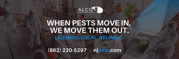 NJPestControl's profile banner image