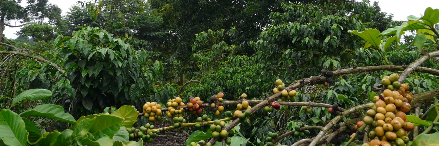 Plant Health Institute Montpellier banner
