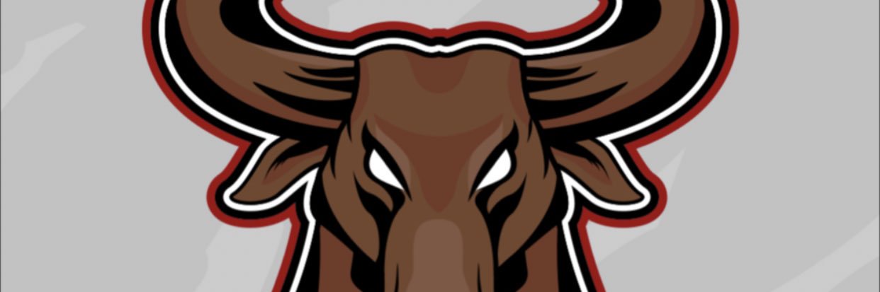 Crypto Bull's ® banner